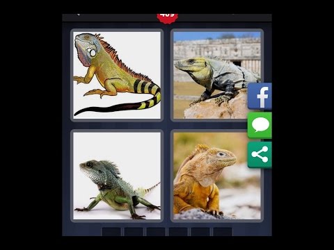 4 Fotos 1 Palabra - Nivel 409 [HD] (iphone, Android, iOS)