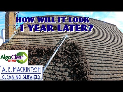 Two Biocide Roof Cleans One Year Later
