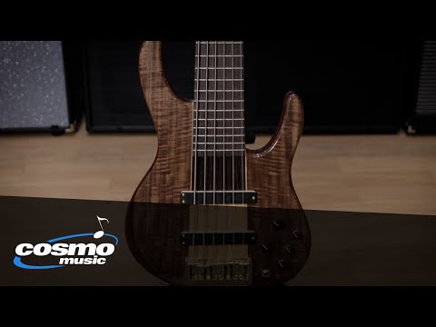GV Erevos Custom 6 String Bass Quickview - Cosmo Music