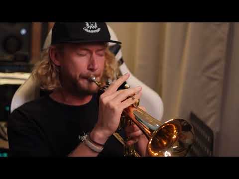 Phlocalyst x Viktor Minsky - Up North (Live)