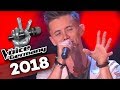 Bon Jovi - Bed Of Roses (Matthias Nebel) | The Voice of Germany 2018 | Blind Audition