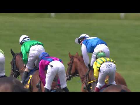 Bloomers' Vase (L) 2019 - Appelina