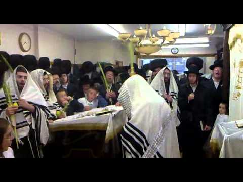 lelov rebbe hosane rabba