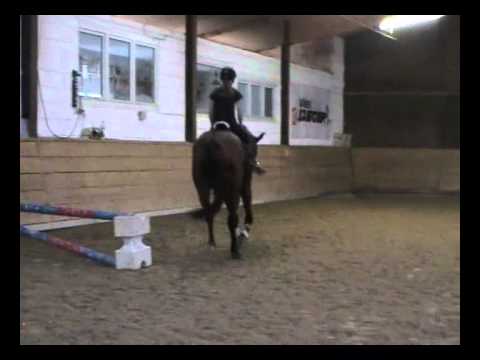 Aramis v. Avagon x Katanga 2013-10-27