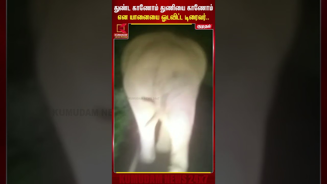 துண்ட காணோம் துணியை காணோம் என யானையை விரட்டிய பலே டிரைவர்..| Elephant | ForestRanger | Kumudam News