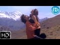 Aavida Maa Aavide Movie Songs Hey Vastava Chhostava Song Nagarjuna Tabu Heera
