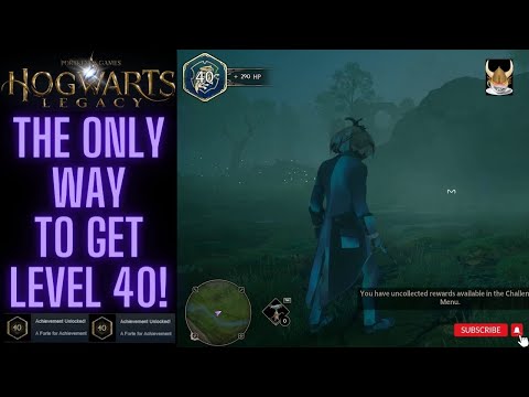 Hogwarts Legacy The ONLY way to get Level 40! ~XP FULLY EXPLAINED, DO YOUR CHALLENGES!~