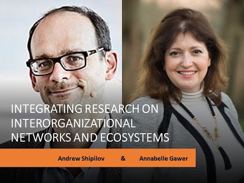 Integrating Research on Interorganizational Networks and Ecosystems