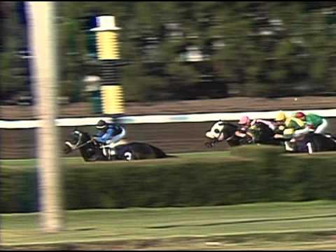 1989 Breeders' Cup Mile