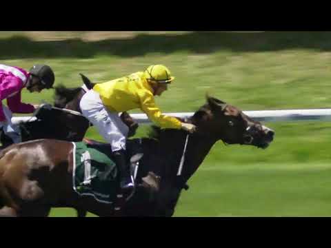 Race 2 - Ascot- 15/11/2025