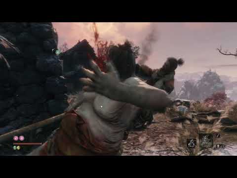 Sekiro™ from the school of Tenchu