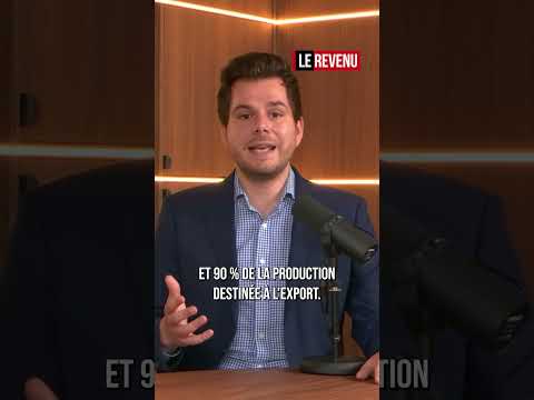 Le jour où l'algérie a racheté l'industrie française