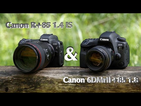 Canon R+85 mm 1.4 L IS vs Canon 6DMrII+85 mm 1.8 | Is there a difference of $ 1,750?
