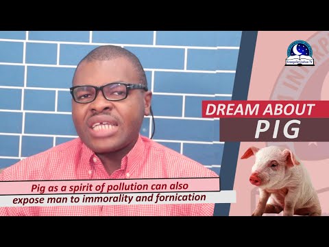 DREAM ABOUT PIG I Find Out The Biblical Meaning of Pigs I