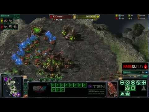 ZeNEX.Life(Z) v FXO.Whale(Z) - G3 - Ohana - KWS3W6 - 6.23.2012