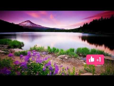 My name M.Anees natur images