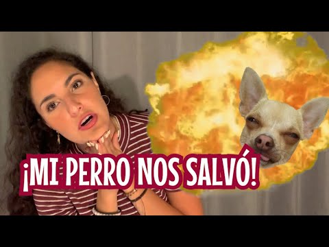 MI PERRO NOS SALVÓ DE MORIR POR UNA FUGA DE GAS / storytime