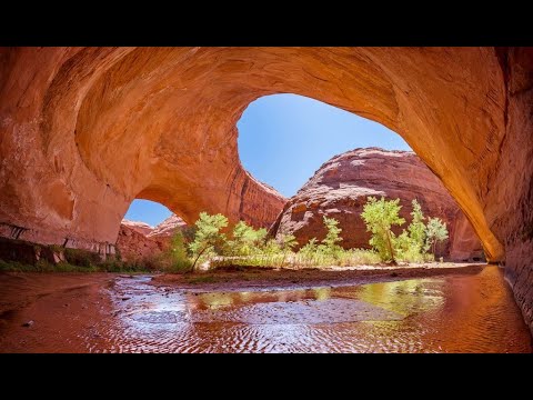 Glenn Canyon Recreation Area, Arizona