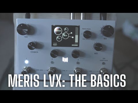 Introducing the Meris LVX - The Basics - Delay Types and Structures