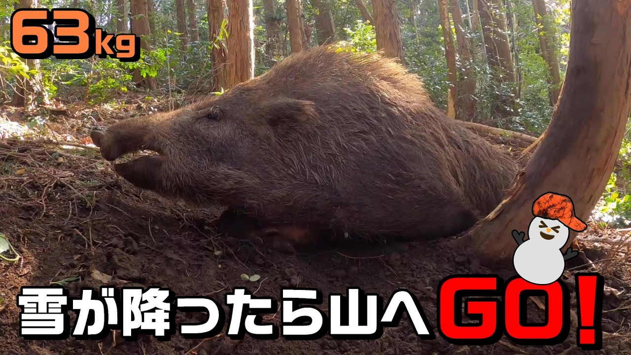 #156 【有害鳥獣駆除】雪の日の山は獲物捕獲のヒントがいっぱい！ - When it snows, you can get lots of clues for catching prey！