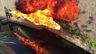 [討論] 有留學台灣人受不了柯糞、自製火焰噴槍!