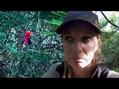 5 Verstörende Begegnungen im Wald auf Kamera Festgehalten