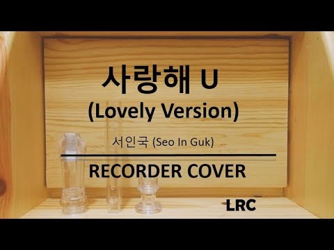 [Recorder Cover] 사랑해 U (Lovely Version) - 서인국 (Seo In Guk)
