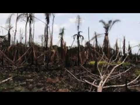 Proffessor I.K Belemu & his exponent band --Eye Emo Beinge Mo |Ijaw/Izon Music