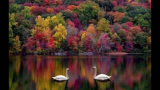 In His Presence again