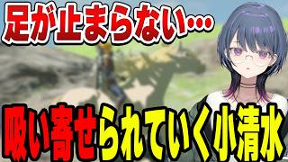 白馬に心奪われる小清水透【小清水 透/にじさんじ/切り抜き】