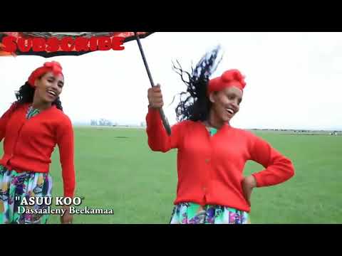 NEW Oromo - Oromia Music (2016) Dassaalany