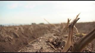 Почвенная засуха нанесла ущерб на сумму 18 млн рублей