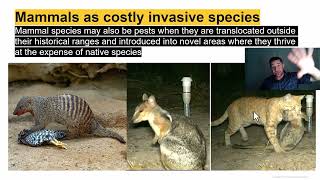 Lecture 1.2_Why Study Mammals?