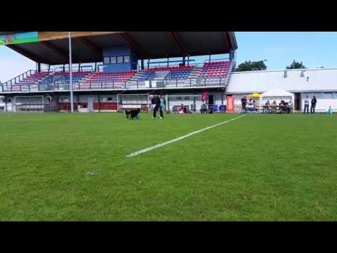 Andreas Keller & Roxana - Round 2 FS, Vienna, Austria, 2014