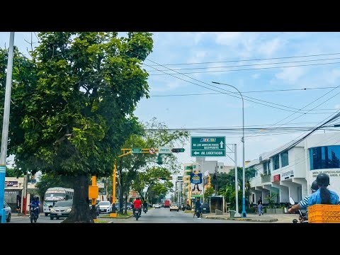 ​🚘 RUTA por Portuguesa: Saliendo de Agua Blanca hacia ARAURE y ACARIGUA 2026 🇻🇪