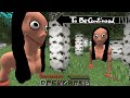 This Is REAL MOMO In Minecraft To Be Continued & We'll Be Right Back