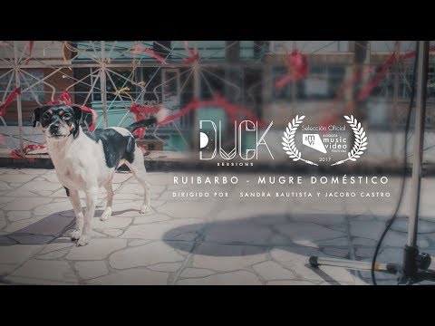 Ruibarbo - Mugre Doméstico .Duck Sessions (live)