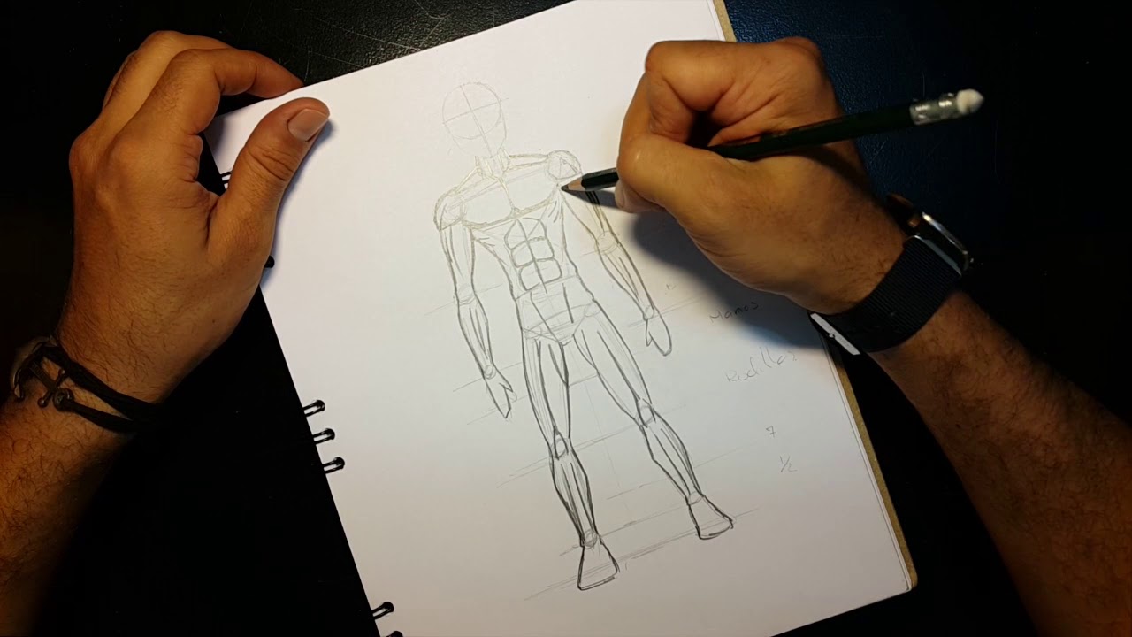 Aprende a dibujar - Músculos del cuerpo