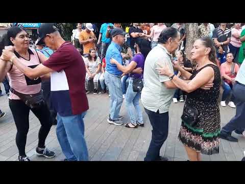 Los integrados parranderos. Tócame el aguacate y Enamorado de Cali. Marzo 24 2024.