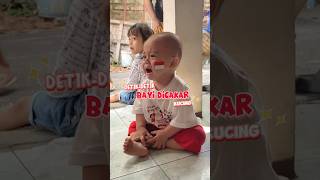 Download lagu Kucingnya gak bayi friendly #masyaallahtabarakallah #baby #bayi #rakyan mp3