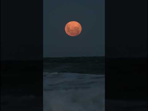 Luna llena desde Uruguay #moon #fullmoon #uruguay #nature