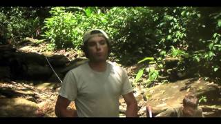 2   Collecting guppies