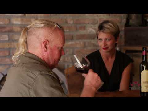 Umetnost u čaši ep. 202 19.09.2023. Vinarija "Kiš", Sremski Karlovci