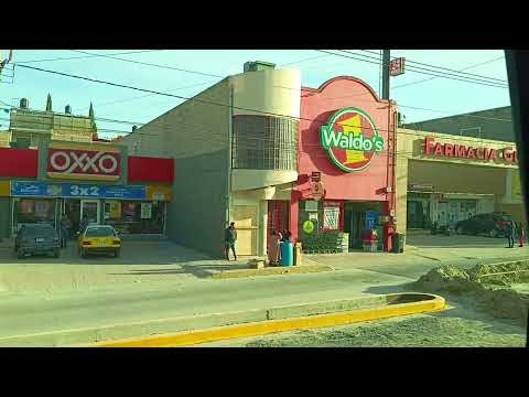 Viaje de visita a san Juan de los lagos 12/12/25