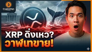 สรุปข่าวคริปโต: ริปเปิลจับมือสถาบัน, ADA เตรียมรับ Stablecoin?, และ AI จ่ายเงินเองได้!