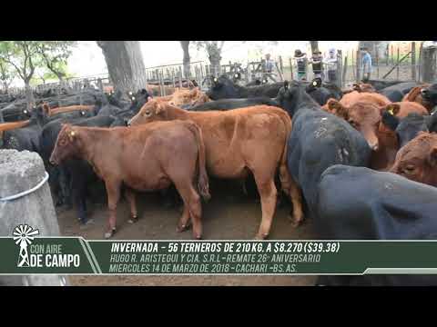 Resumen del Remate 26° Aniversario de Hugo R. Aristegui - Miércoles 14 de Marzo - Cacharí