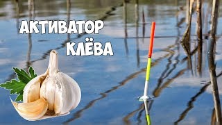Рыбалка где клюет карась в подмосковье