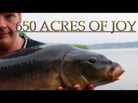 Carp Fishing - 650 Acres Of Joy