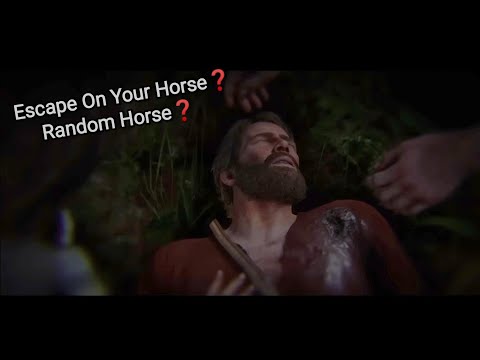 Arthur's Hidden Dialogue If He Escapes The O'Driscolls On A Random Horse - RDR2