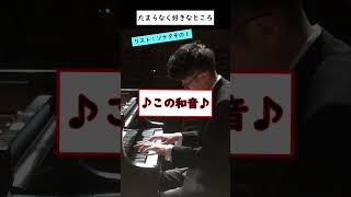 Download lagu リスト:ソナタのたまらなく好きなところ~その1#shorts mp3 Download lagu リスト:ソナタのたまらなく好きなところ~その1#shorts mp3